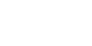 Logo White